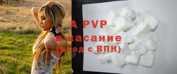 прущие крисы Белокуриха